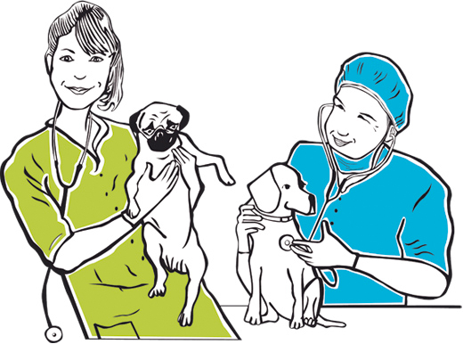 malattie-dei-cani-veterinari-fumetto